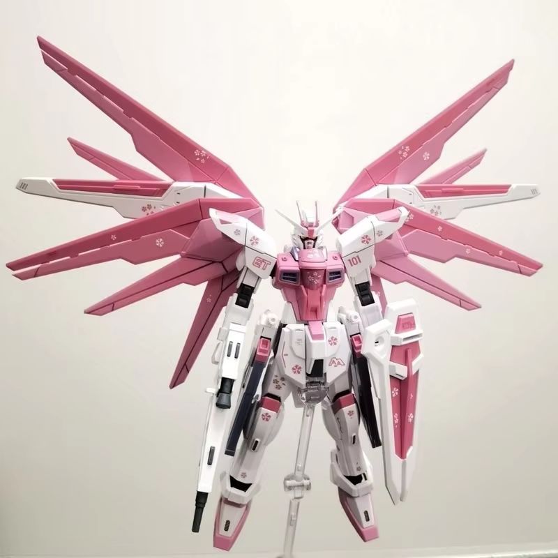 JMS HG 1/144 ZY-06 Freedom Ass - Model Kit Jms recensione e prezzo