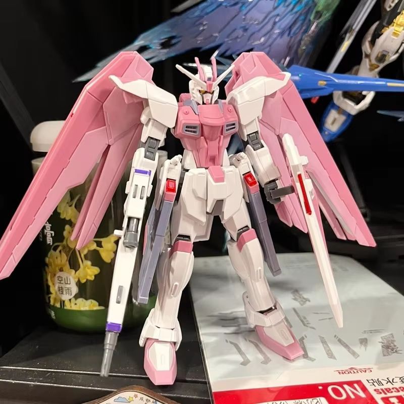 JMS HG 1/144 ZY-06 Freedom Ass - Model Kit Jms recensione e prezzo